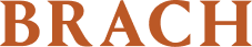 LOGO BRACH BB K GLOBAL