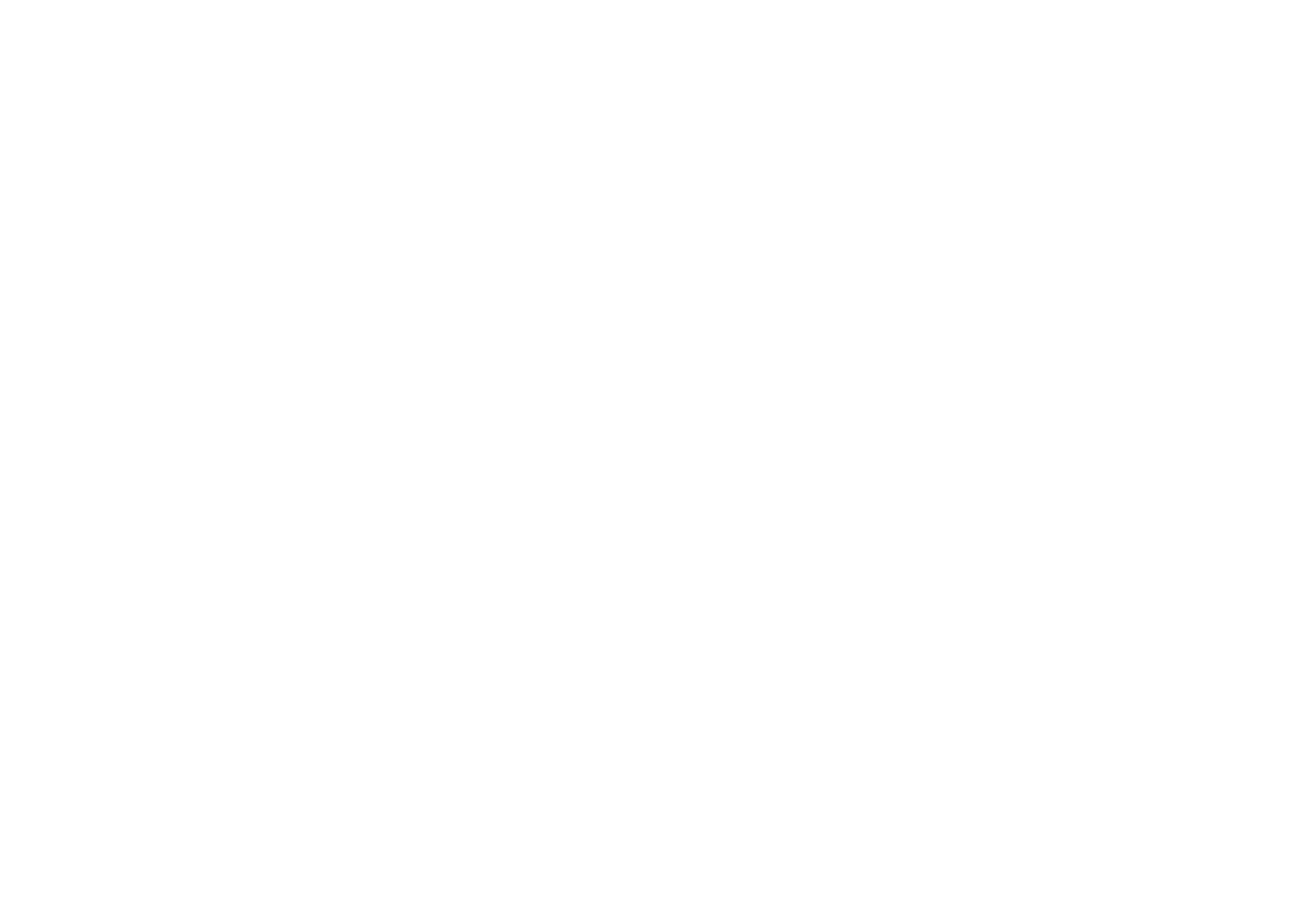 LOGO NOLINSKI